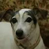 carsten becker - @carsten.becker55 - TikTok