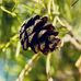 Carter Abbott - Facebook