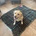 Carter Abbott - Facebook