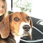 Carter 🐶✨ - @carter_bagley_ - Instagram