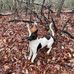 Carter Bailey - Facebook