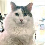 Carter Bennett - Facebook