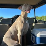 Carter Biggs - @travels.with.carter - Instagram