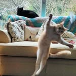 Emma Carter - Biggs - @cinnaminta - Instagram