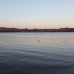 Carter Black - @carter_black_diving - Instagram