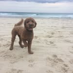 @carter_bond - Instagram