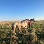 Boone Carter - @boonehcarter - Instagram