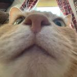 Carter Bouchard - @carterbouchard0 - Instagram