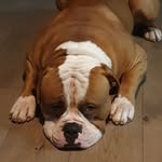 Carter Bowen - @_get_carter - Instagram