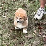 Carter Boyer - @gigi51018 - Instagram
