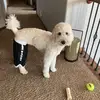 Carterboyer_2 - @carterboyer_2 - TikTok
