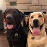 Carter 🐻 & Brady 🐛 - @cartbradcarr - Instagram
