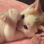 @carter.brandi.13 - Instagram