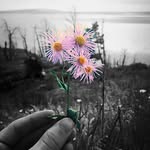 Carter Braun - @carterphotography04 - Instagram