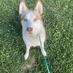 Carter Brewer - Facebook