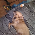 Carter Brightman - Facebook