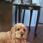 carter brightman - @carter_brightman - Instagram