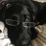 Carter Brower - @brower.carter - Instagram