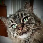 Carter Browning - @carter.browning - Instagram