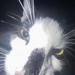 Carter Buckley - Facebook