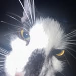 Carter Buckley - @car123456789101112131415161718 - Instagram