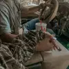Carter Buckley🦌 - @huntin_n_fishin_life - TikTok