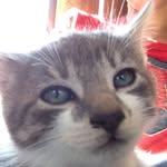 Carter Douglas Buckley - @the_flick_of_the_wrist - Instagram