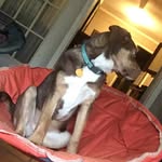 Java Bumgarner - @carterbumgarner2018 - Instagram