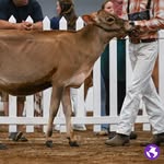 Carter camp - @cowkid2024 - Instagram