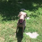 Carter Camp - @carter.camp.92 - Instagram