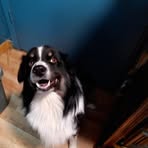 Carter Carr - Facebook