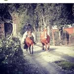 belar😂😅😅 - @carter_castillo - Instagram