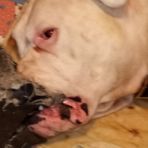 Carter Chambers - Facebook