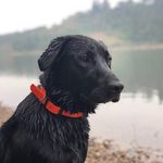 Carter Chambers - @carterbchambers - Instagram