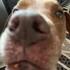 carterchambliss3 - @carterchambliss3 - TikTok
