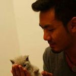 dartdart - @carterchan - Instagram