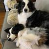 Carter - @carter.chaney - TikTok