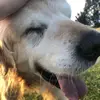 carter.chapman0 - @carter.chapman0 - TikTok