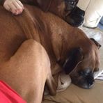 Carter Chavez - Facebook