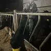 carterclements🚜 - @carterclements0 - TikTok