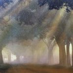 Carter Combs - Facebook
