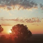 CARTER - @carter.cooke__7u - Instagram