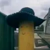 Carter.Cookie - @carter.cooke - TikTok
