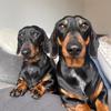 Cooper & Carter - @cooperandcarter - TikTok