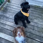 Carter - @carter.cork - Instagram