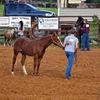 Carter Covington - @ccarter448 - TikTok