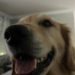 Carter craft - @carter_is_cool1986 - Instagram