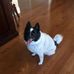 Carter Craig - Facebook
