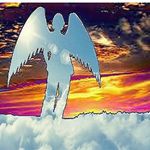 Carter - @carter_crane_ - Instagram