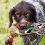 Carter Crisp - @cart_er772 - Instagram